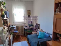 Detelinara, Gradske lokacije, Novi Sad | 4zida.rs