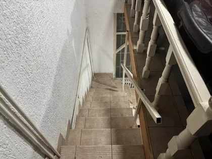 Cara Dušana | 4zida.rs