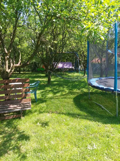 ZIVANA NIKOLICA | 4zida.rs