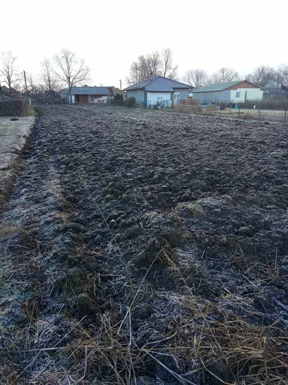 Vojvođanska | 4zida.rs