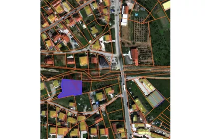 Trifuna Pešića | 4zida.rs