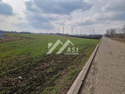 Zeleno polje | 4zida.rs