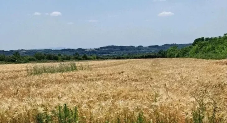 Poljoprivredno zemljište | 4zida