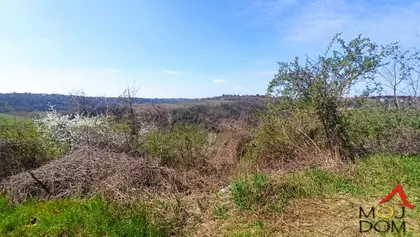 Čortanovci | 4zida.rs