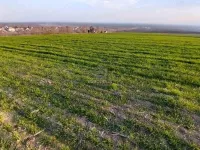 Mala Remeta, Okolne lokacije, Irig | 4zida.rs