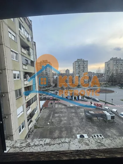 Blagoja Parovića | 4zida.rs