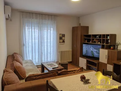 DR SVETISLAVA KASAPINOVIĆA | 4zida.rs