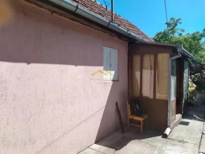 Salajka | 4zida.rs