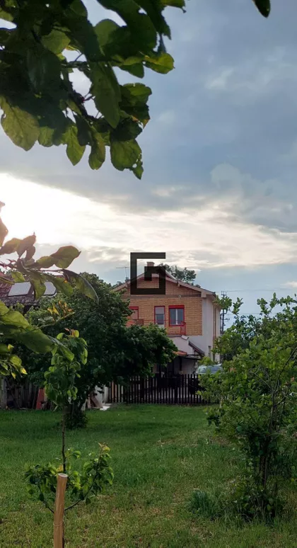 Cara Dušana | 4zida.rs