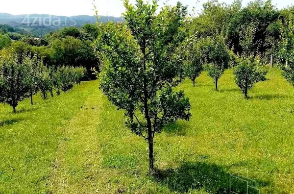 Plac | 4zida