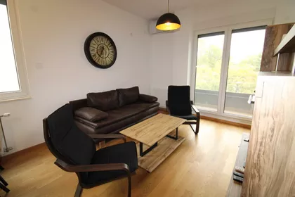 Južni Telep | 4zida.rs