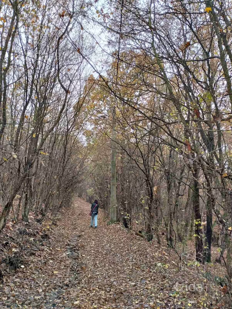 Poljoprivredno zemljište | 4zida