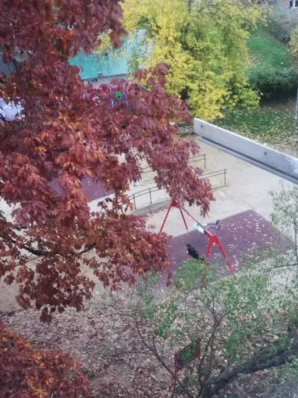 Radovana Simića Cige 19 | 4zida.rs