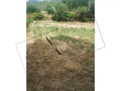 Ušće | 4zida.rs