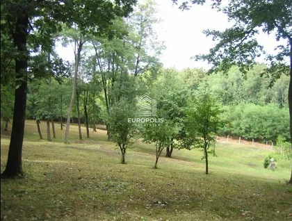 Beljin potok | 4zida.rs