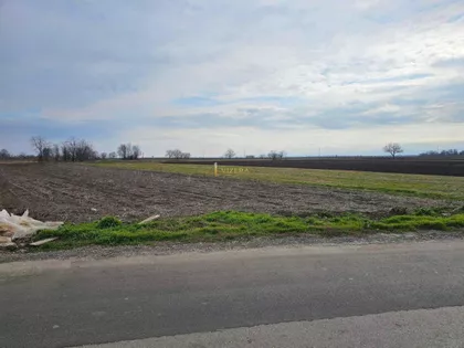 Kisač | 4zida.rs
