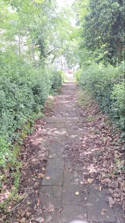 Heroja Čajke | 4zida.rs