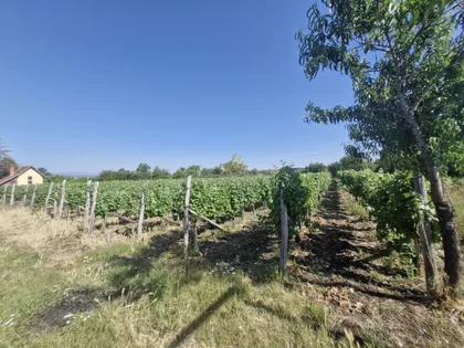 Okolne lokacije | 4zida.rs
