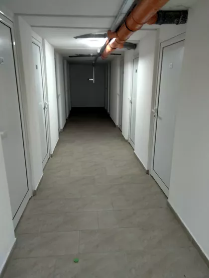 Žarka Zrenjanina | 4zida.rs
