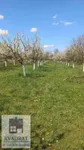Poljoprivredno zemljište | 4zida