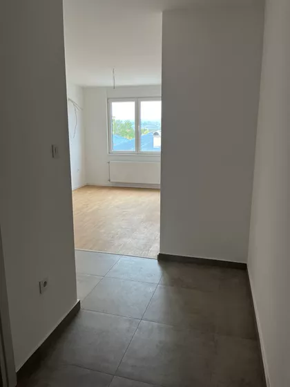 Petefi Šandora | 4zida.rs