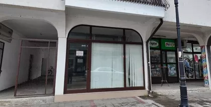 Vladimira Perića Valtera | 4zida.rs