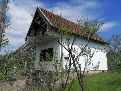 Tiganjica | 4zida.rs