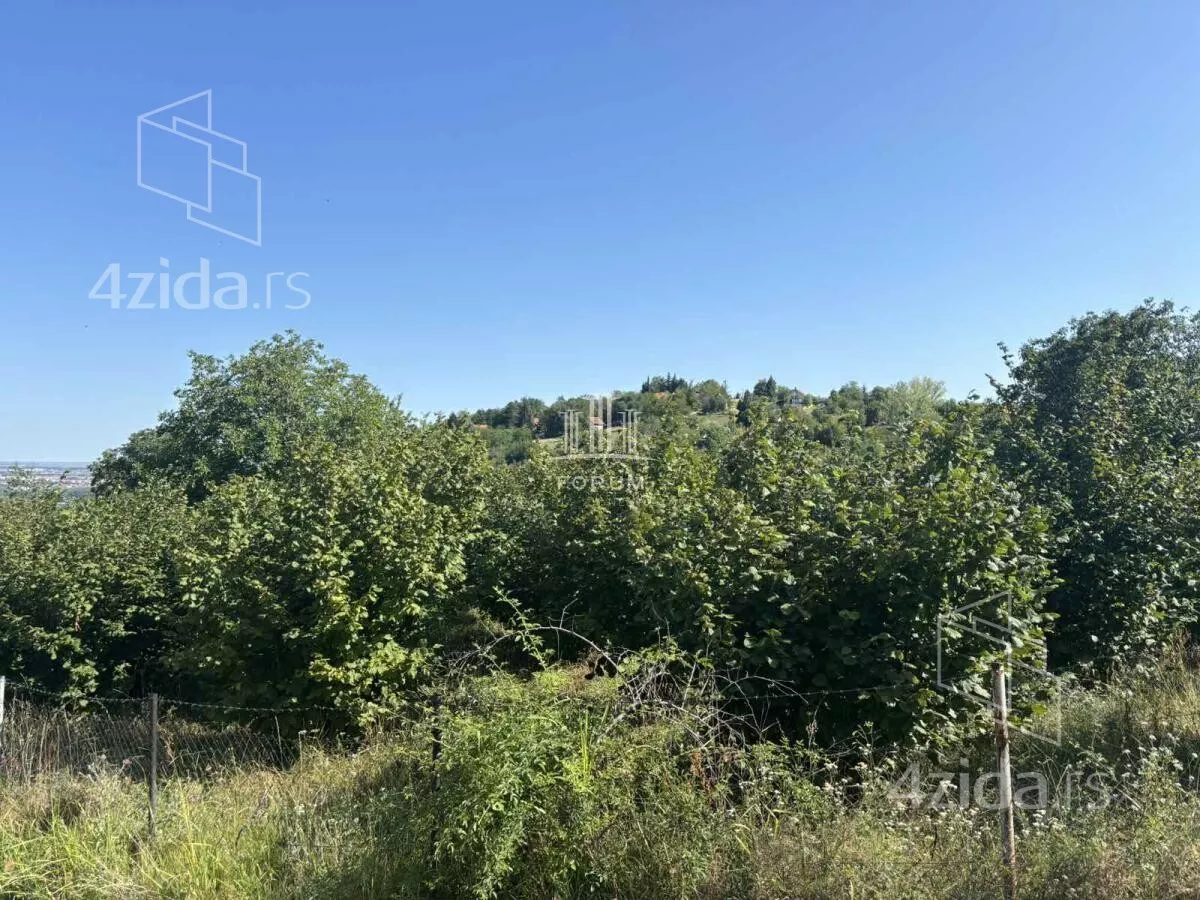 Plac | 4zida
