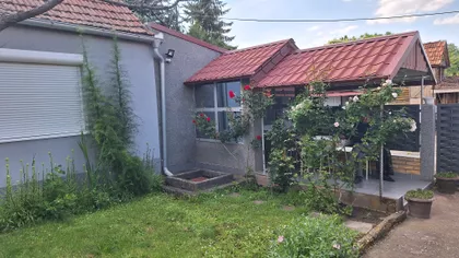 Žarka Zrenjanina | 4zida.rs
