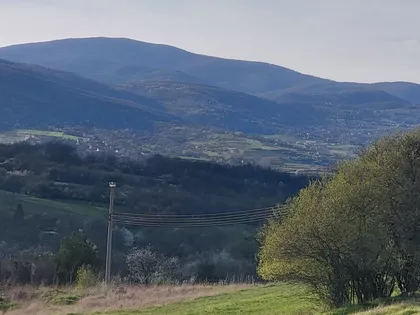 Bore Markovića | 4zida.rs