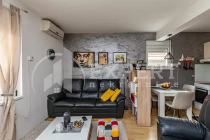 Aleksandra Petrovića | 4zida.rs