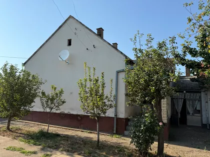 Ive Lole Ribara | 4zida.rs