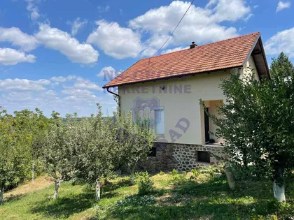 Rit | 4zida.rs