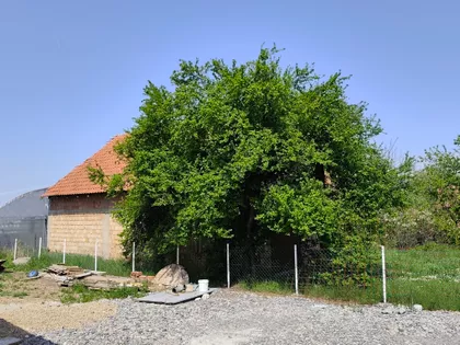 Germana Anđelića 11A | 4zida.rs