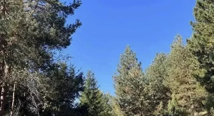 Poljoprivredno zemljište | 4zida