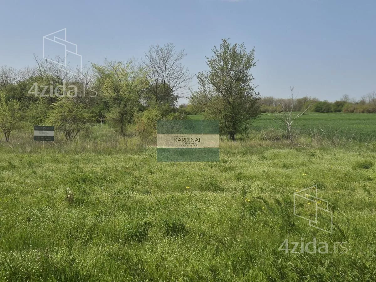 Plac | 4zida