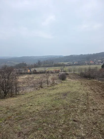 Save Kovačevića | 4zida.rs