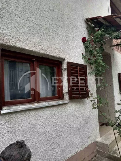 Goli Rid | 4zida.rs