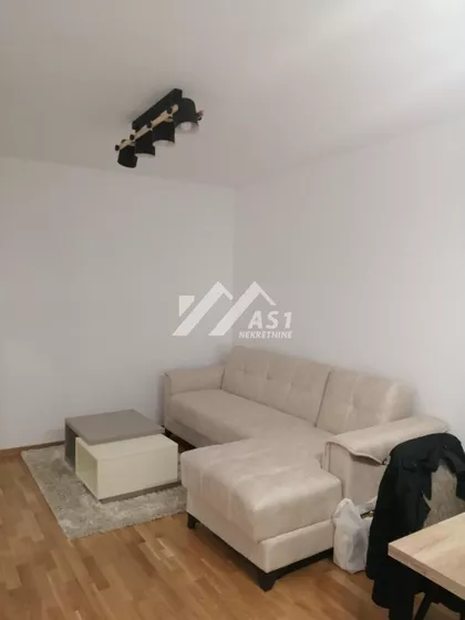 Vase Pelagića | 4zida.rs