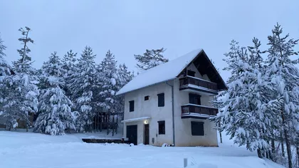 Carigradska | 4zida.rs