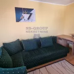 Nova Detelinara, Detelinara, Gradske lokacije, Novi Sad | 4zida.rs | 4zida.rs