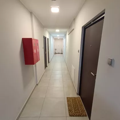 Heroja Pinkija 46 | 4zida.rs