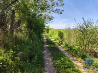 Trnava, Gradske lokacije, Jagodina | 4zida.rs