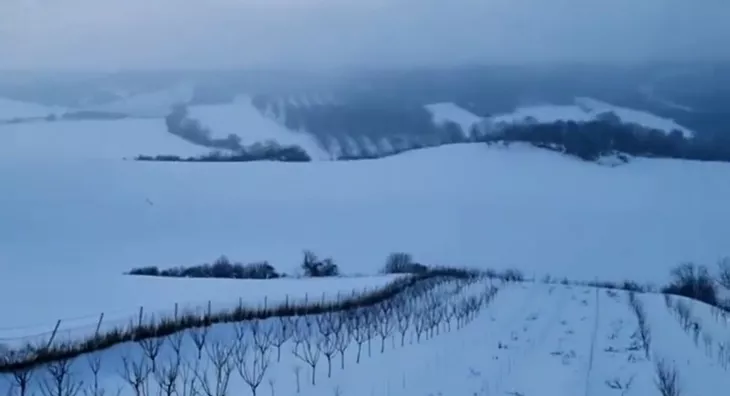 Poljoprivredno zemljište | 4zida