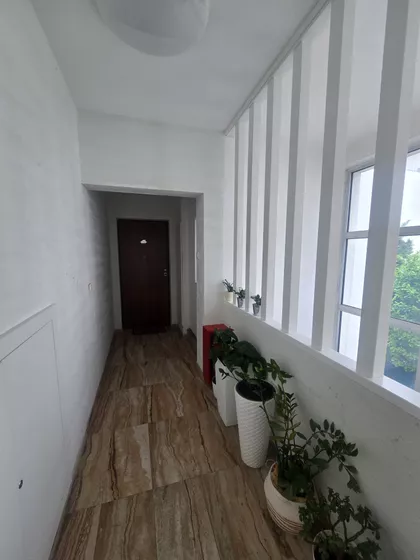 Dragiše Lapčevića | 4zida.rs