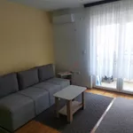 Novi Sad, Gradske lokacije, Rotkvarija, Socijalno | 4zida.rs | 4zida.rs