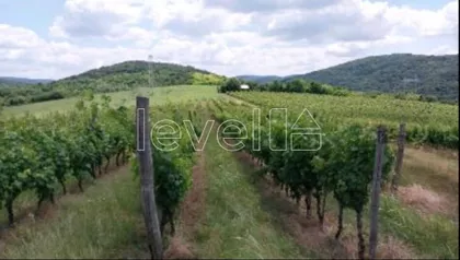 Banoštor | 4zida.rs