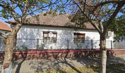 Berbersko | 4zida.rs