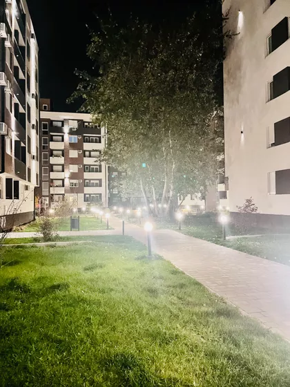 Gorana Jojića | 4zida.rs