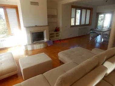 Milana Blagojevića Španca